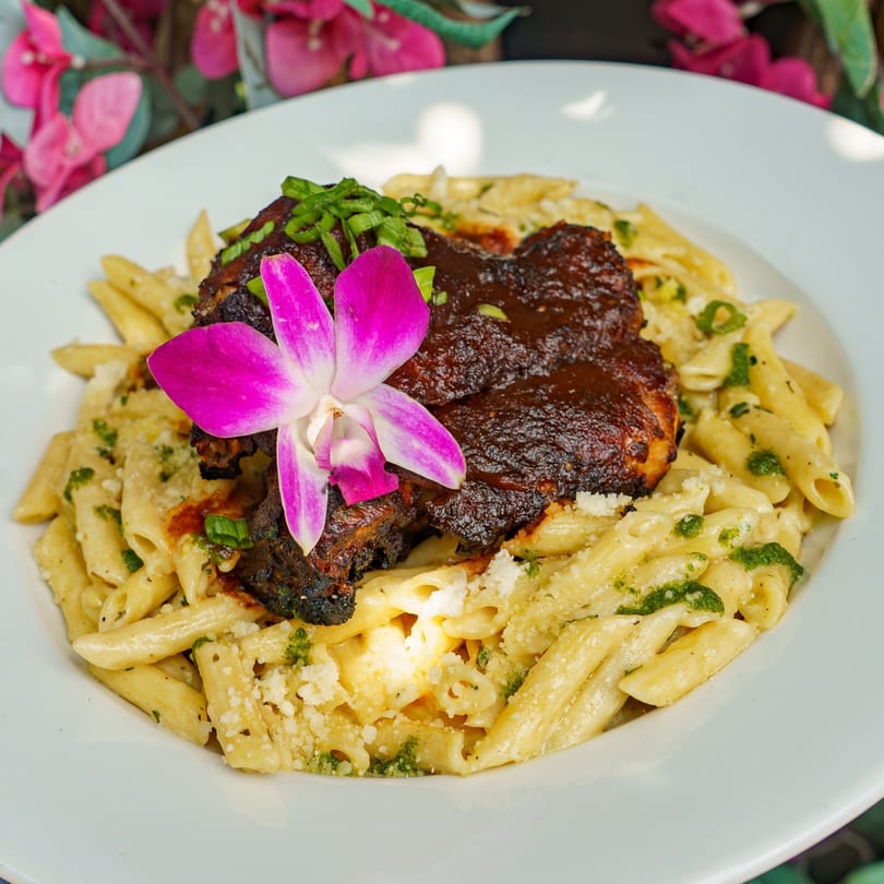 Caribbean jerk chicken with penne pasta, garnished with a pink orchid and green onions.